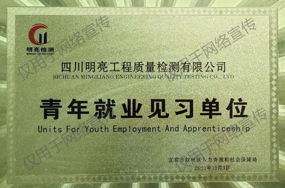 青年就業(yè)見習單位